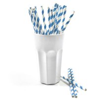 Frau WUNDERVoll® PAPIERSTROHHALME BLAU, STREIFEN / Strohhalm, Trinkhalm, Papier Strohhalm, Einweg Strohhalme, Geburtstag, Hochzeit, Feiern, Kindergeburtstag, Dekoration